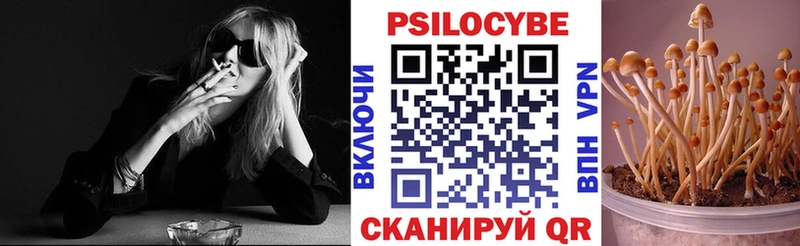 Галлюциногенные грибы ЛСД  как найти   Карасук 